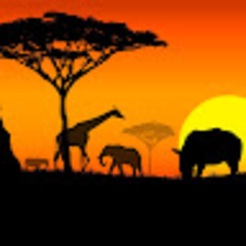 Meet your Posher, Tomi